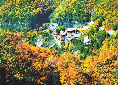 秋韻正濃美如畫(huà)